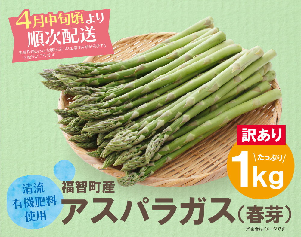 【ふるさと納税】【訳あり】清流・有機肥料使用 アスパラガス(春芽) 1kg 期間限定 数量限定 朝獲れ 朝摘み アスパラ アスパラガス 野菜 とれたて 新鮮 旬 お取り寄せ 福岡県 福智町 国産 九州産 送料無料 - 画像2