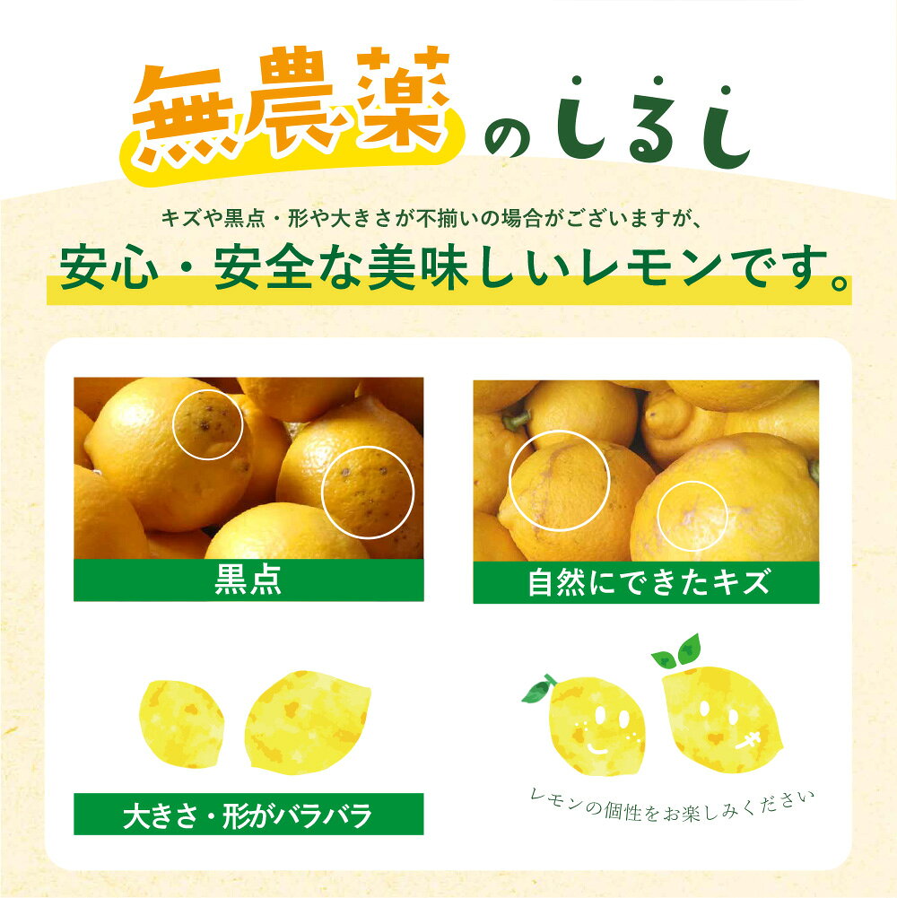 【ふるさと納税】＜旬の12月以降発送＞ 福智町産 無農薬レモン 2.5kg 約16〜20個 国産 安心 数量限定 期間限定 皮まで食べられる 無農薬 れもん レモン 旬 産地 新鮮 おすすめ レモネード 皮 キロ 福岡産 福智産 福智 ワンドラファーム 送料無料 サムネイル3