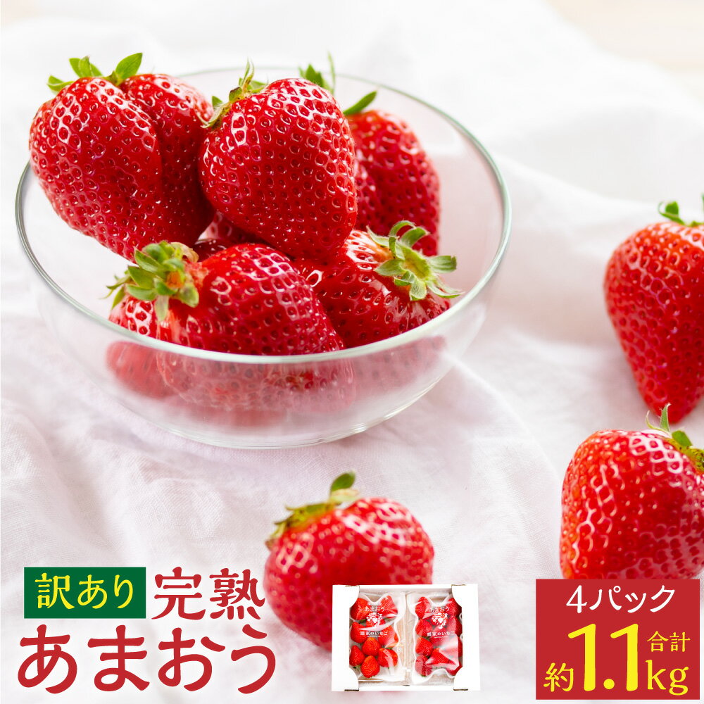 訳あり 完熟 あまおう 4パック 約1.1kg いちご イチゴ 苺 フルーツ 果物 不揃い ふぞろい 訳あり くだもの 先行予約 福岡県 苅田町 送料無料 【2026年2月上旬-3月上旬発送予定】