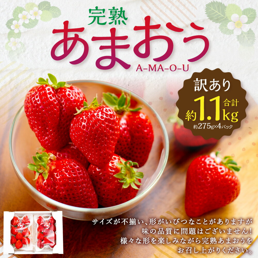【ふるさと納税】 訳あり 完熟 あまおう 4パック 約1.1kg いちご イチゴ 苺 フルーツ 果物 不揃い ふぞろい 訳あり くだもの 先行予約 福岡県 苅田町 送料無料 【2026年2月上旬-3月上旬発送予定】 サムネイル2