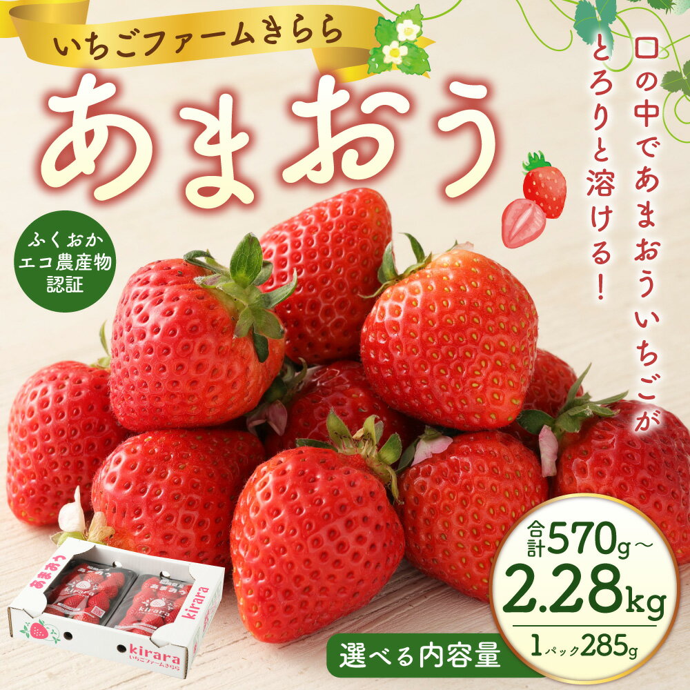 【ふるさと納税】＜選べる内容量＞あまおう 1パックあたり約285g 2パック・4パック・6パック・8パック 苺 果物 果実 フルーツ 【ふくおかエコ農産物認証】 冷蔵 久留米産 国産 九州 福岡県 苅田町 送料無料 【2026年2月上旬から3月下旬発送予定】 サムネイル2