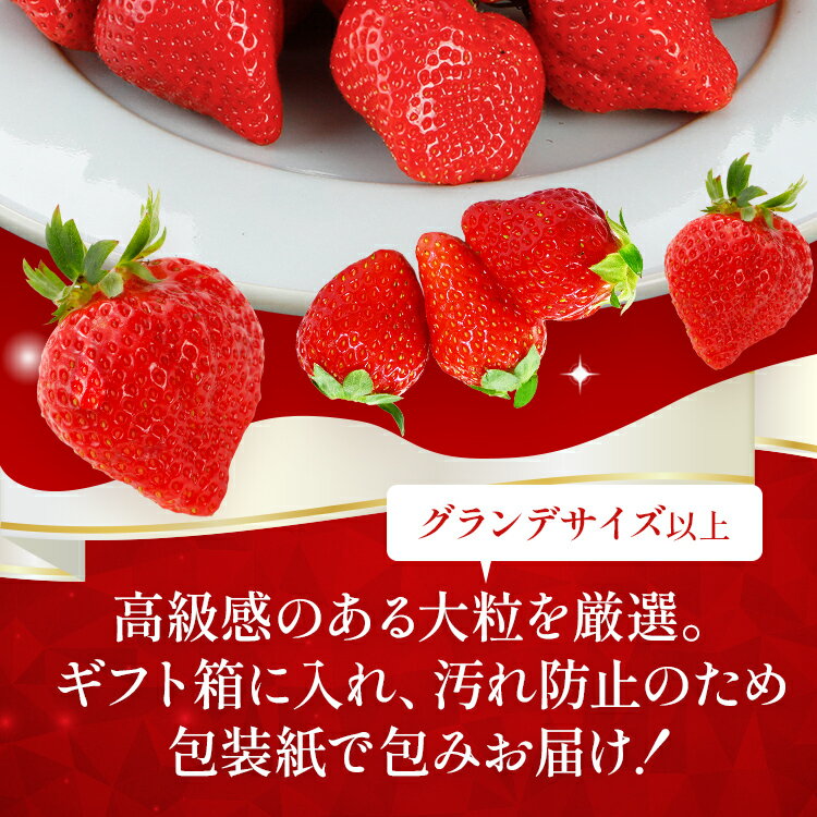 【ふるさと納税】【ギフト】3月より順次発送 大粒あまおう 約560g（約280g×2パック） 苺 イチゴ いちご フルーツ 果物 ふるさと納税くだもの ブランド くだもの 福岡県産 先行予約 サムネイル3