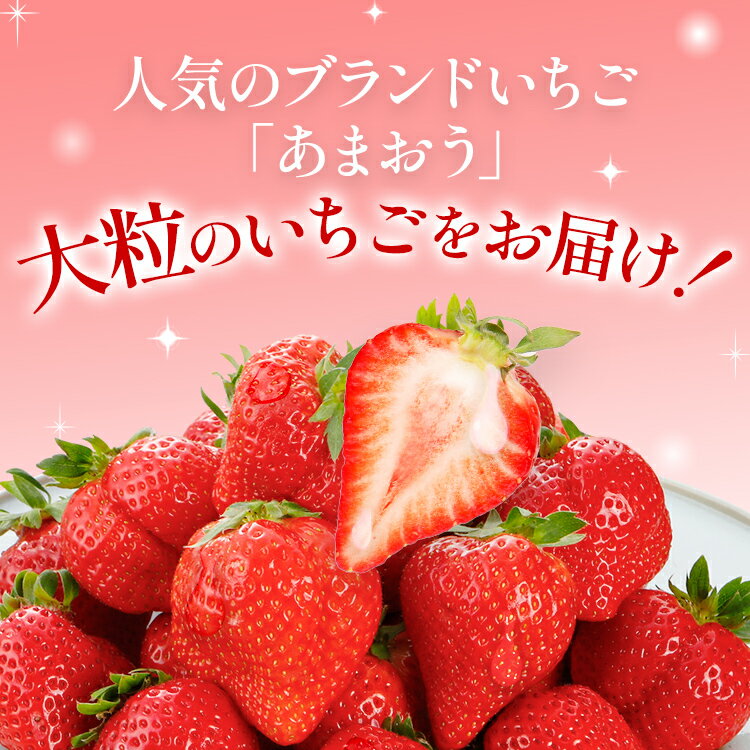 【ふるさと納税】【12月より順次発送】あまおう 贅沢ないちご祭り グランデサイズ以上 約1120g（約280g×4パック） 苺 イチゴ いちご フルーツ 果物 ふるさと納税くだもの ブランド くだもの 福岡県産 先行予約 サムネイル2