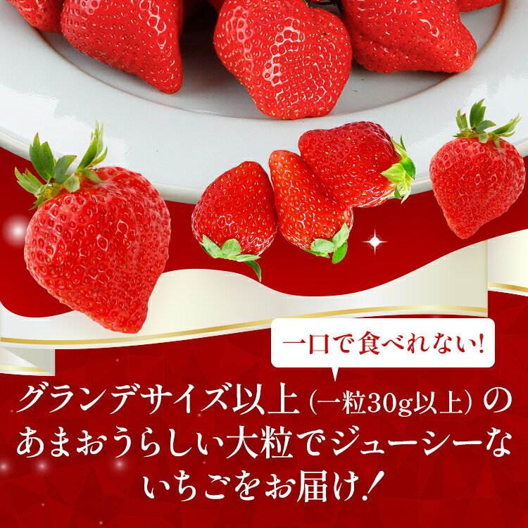 【ふるさと納税】【12月より順次発送】あまおう 贅沢ないちご祭り グランデサイズ以上 約1120g（約280g×4パック） 苺 イチゴ いちご フルーツ 果物 ふるさと納税くだもの ブランド くだもの 福岡県産 先行予約 サムネイル3