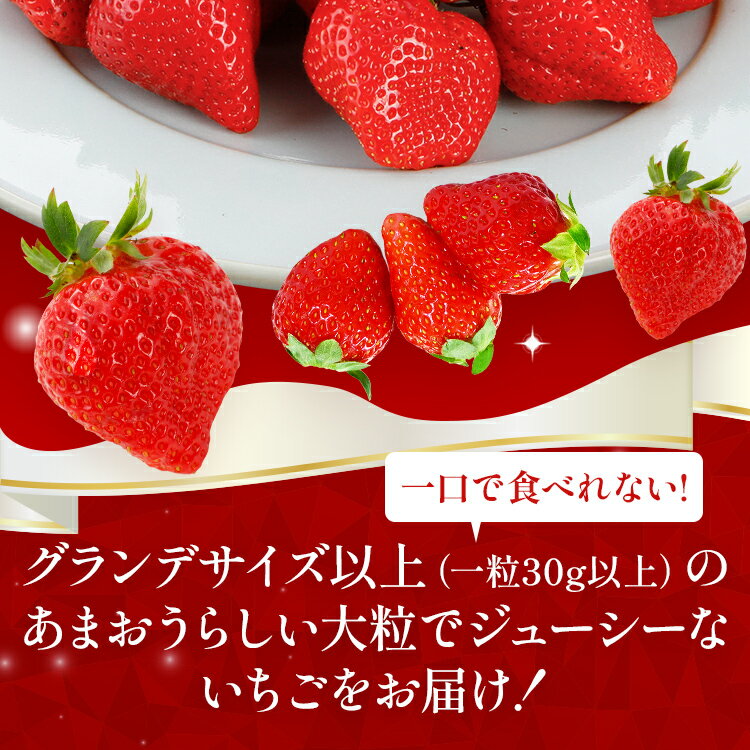 【ふるさと納税】【12月より順次発送】あまおう 贅沢ないちご祭り グランデサイズ以上 約2240g（約280g×8パック） 苺 イチゴ いちご フルーツ 果物 ふるさと納税くだもの ブランド くだもの 福岡県産 先行予約 サムネイル3