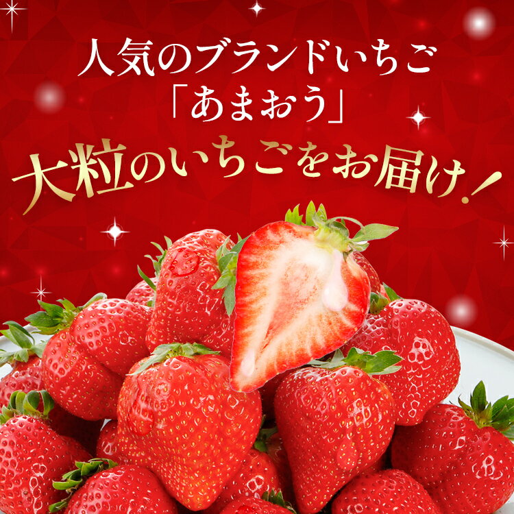 【ふるさと納税】【ギフト】12月より順次発送 大粒あまおう 約560g（約280g×2パック） 苺 イチゴ いちご フルーツ 果物 ふるさと納税くだもの ブランド くだもの 福岡県産 先行予約 サムネイル2
