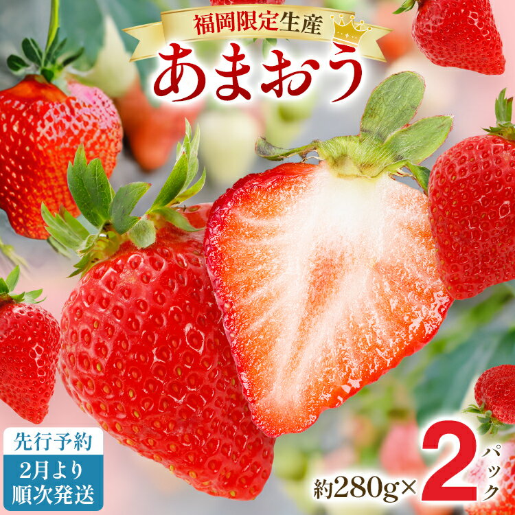 【先行予約2月より順次発送】あまおう グランデサイズ以上 約560g（約280g×2パック） 苺 イチゴ いちご フルーツ 果物 ふるさと納税くだもの ブランド くだもの 福岡県産