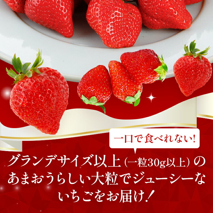 【ふるさと納税】【先行予約2月より順次発送】あまおう グランデサイズ以上 約560g（約280g×2パック） 苺 イチゴ いちご フルーツ 果物 ふるさと納税くだもの ブランド くだもの 福岡県産 サムネイル3
