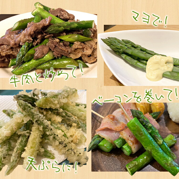 【ふるさと納税】予約受付 アスパラ 春芽 M~Lサイズ 1kg（500g×2） 2026年3月頃より順次発送 野菜 アスパラガス 農家直送 福岡 九州 グルメ お取り寄せ - 画像3