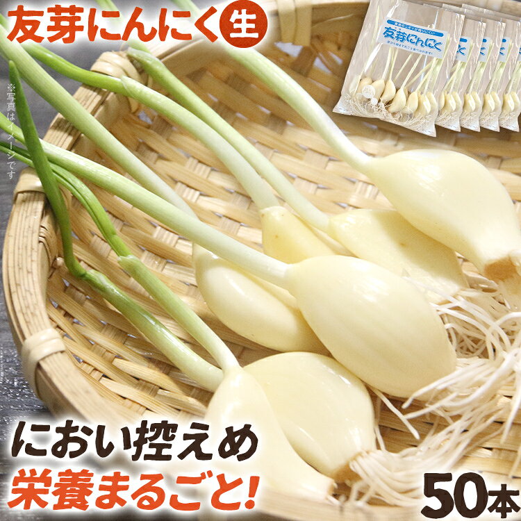 にんにく 国産 友芽にんにく 生 50本 大容量 野菜 ガーリック ニンニク スプラウト 発芽 おつまみ 料理 丸ごと ニオイ 福岡県 福岡 九州 グルメ お取り寄せ メール便（ポスト投函） 11月～3月発送予定