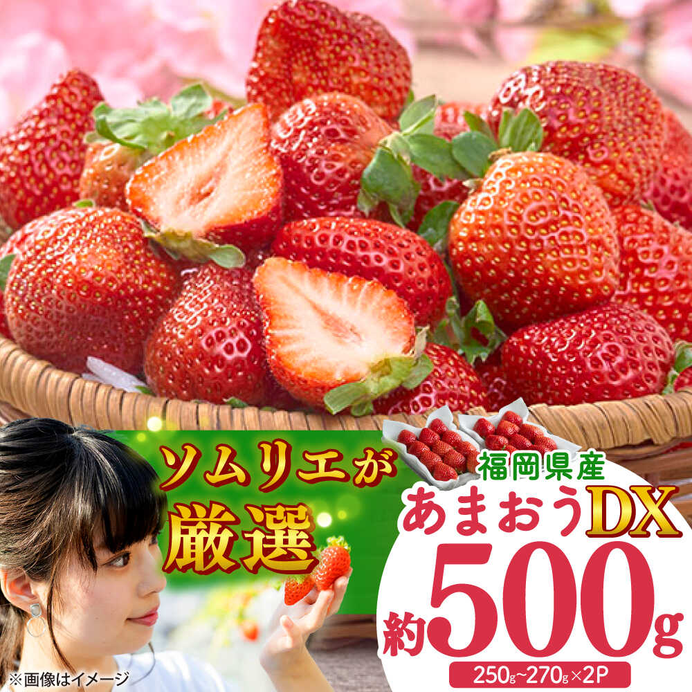 【2025年12月上旬より順次発送】フルーツソムリエが選んだ【冬】あまおうDX(デラックス)2パック 吉富町/南国フルーツ株式会社[BGAG020] 果物 フルーツ デザート いちご イチゴ 苺 あまおう 人気 美味しい 甘い ふるさと納税