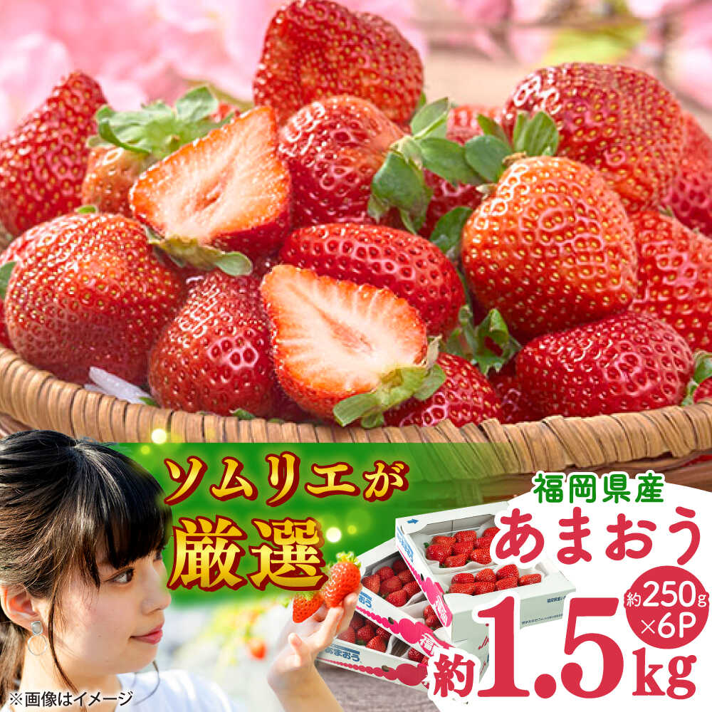 【2026年2月上旬より順次発送】福岡産【春】 あまおう 6パック 吉富町/南国フルーツ株式会社[BGAG026] 果物 フルーツ デザート いちご イチゴ 苺 あまおう 人気 美味しい ふるさと納税
