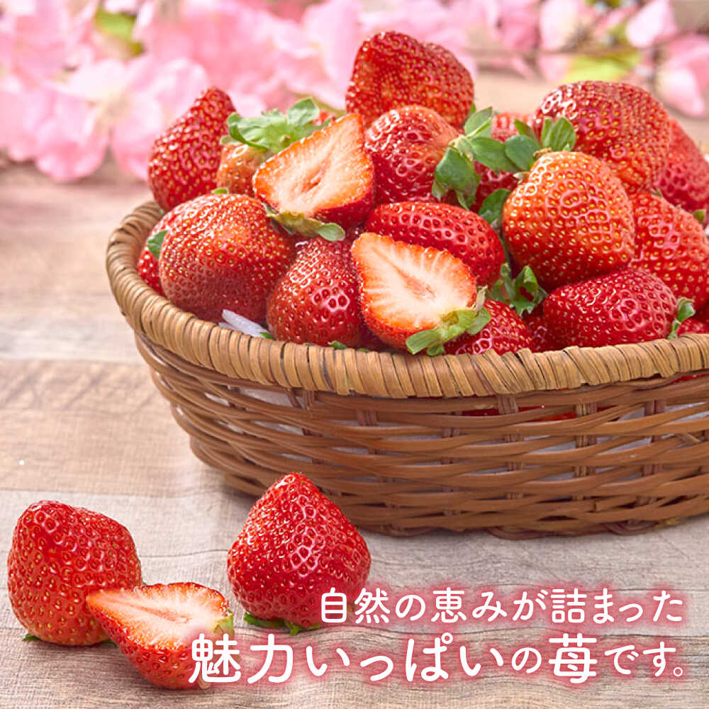 【ふるさと納税】【全2回定期便】福岡産【春】 あまおう 6パック 吉富町/南国フルーツ株式会社[BGAG052] サムネイル2