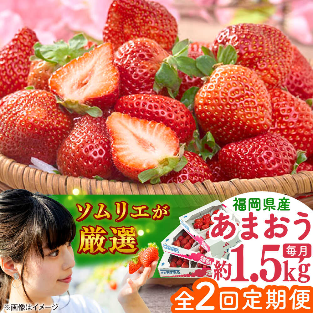 【全2回定期便】福岡産【春】 あまおう 6パック 吉富町/南国フルーツ株式会社[BGAG052]