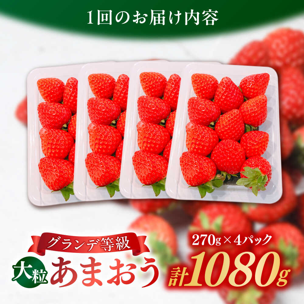 【ふるさと納税】【全2回定期便】【2026年1月中旬より順次発送】 あまおう いちご 1080g (約270g×4パック) 吉富町/株式会社HSP-テクノ[BGBQ003] 果物 フルーツ デザート イチゴ 苺 ストロベリー 人気 美味しい 甘い ふるさと納税 サムネイル2