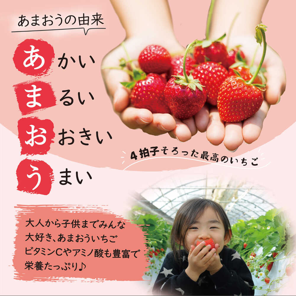 【ふるさと納税】【全2回定期便】【2026年1月中旬より順次発送】 あまおう いちご 1080g (約270g×4パック) 吉富町/株式会社HSP-テクノ[BGBQ003] 果物 フルーツ デザート イチゴ 苺 ストロベリー 人気 美味しい 甘い ふるさと納税 サムネイル3