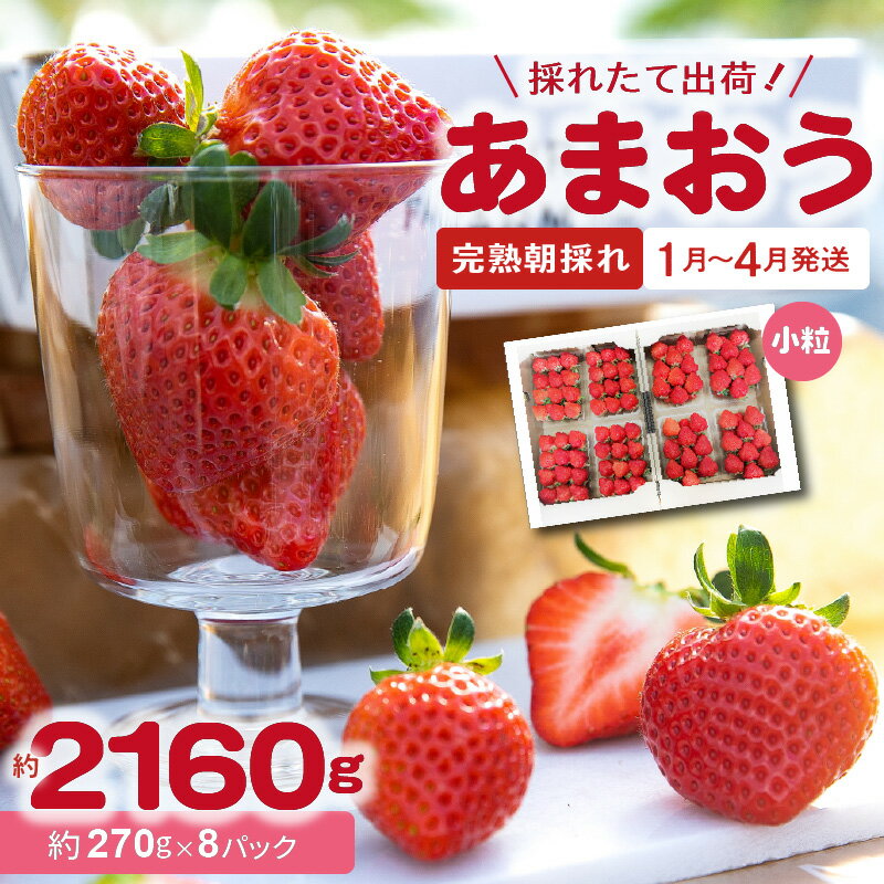 採れたて 出荷 完熟朝採れ いちご あまおう 270g × 8パック 計 約 2160g 福岡 代表 ブランドいちご 人気 真っ赤 完熟 爽やか 甘み みずみずしい 果物 フルーツ デザート お取り寄せ お取り寄せグルメ 冷蔵 福岡県 上毛町産 送料無料