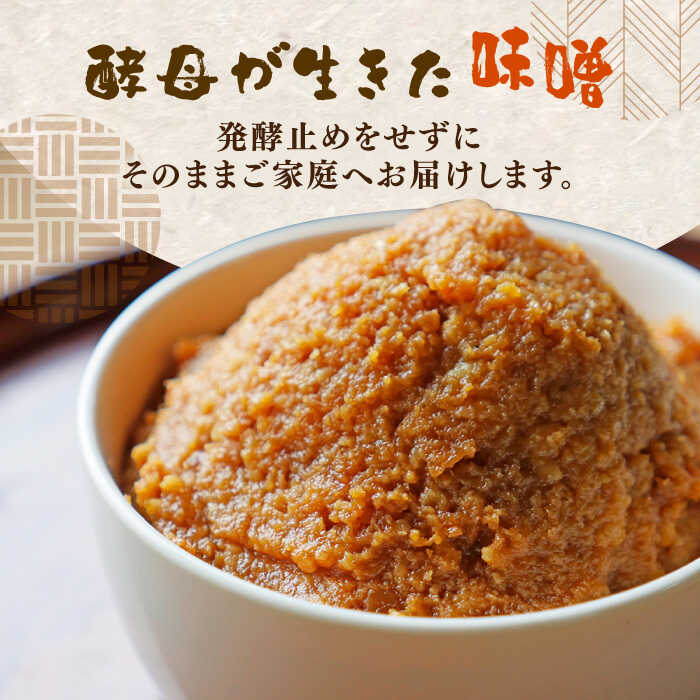 【ふるさと納税】【令和7年10月以降発送】福みそ ( 米味噌 ) 2kg + 福こうじ ( 生こうじ ) 2kg【まんがいいセット】《築上町》【安部味噌製造所】 [ABAF008] 15,000円 - 画像2