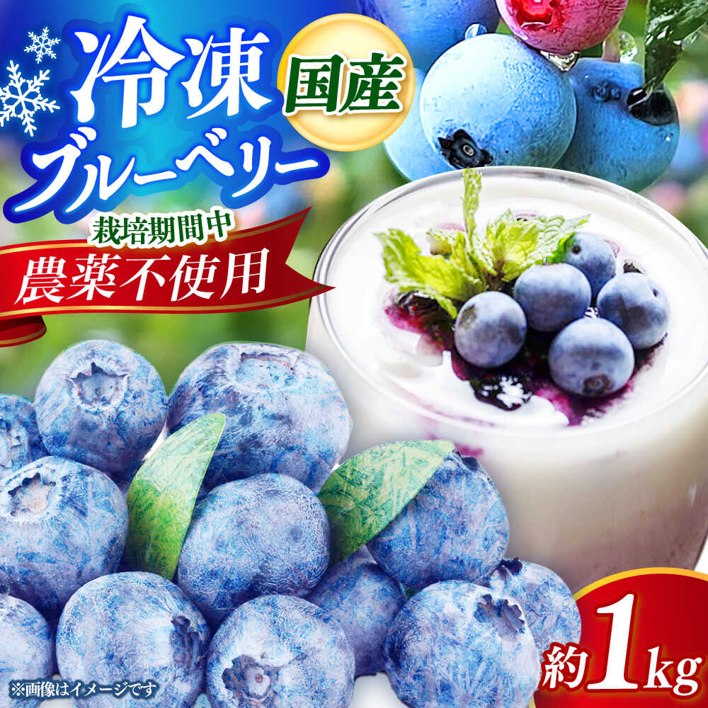 ブルーベリー 1kg 冷凍 《築上町》【(有)工房よしかわ】 国産 ブルーベリー フルーツ 果物 [ABAK001]