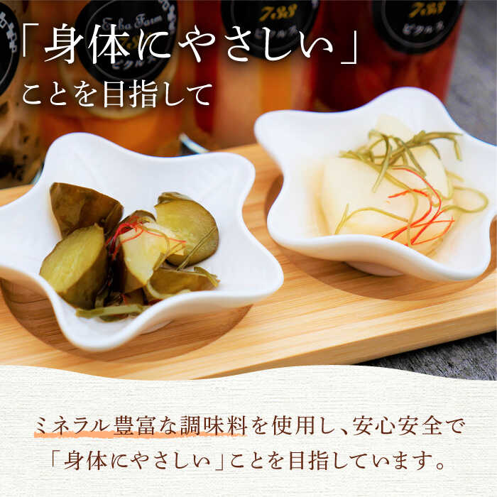 【ふるさと納税】【農家こだわりの 野菜 使用】 ピクルス + 京築ヒノキ イーゼル セット《築上町》【ERBA FARM733】 [ABAP005] 33000 33000円 - 画像3
