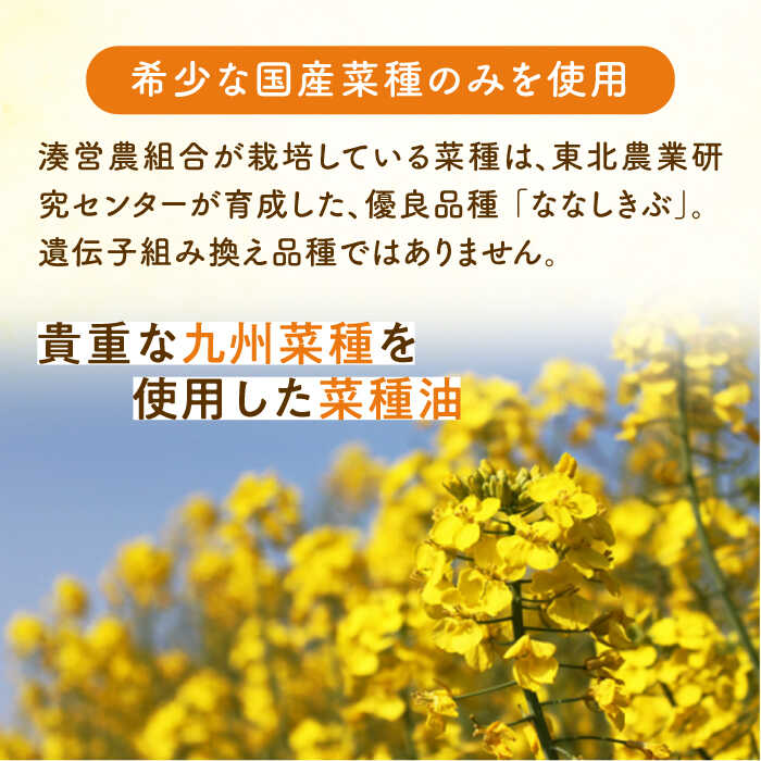 【ふるさと納税】菜の花 サラダ油 3本《築上町》【農事組合法人 湊営農組合】 [ABAQ012] 16000円 サムネイル3