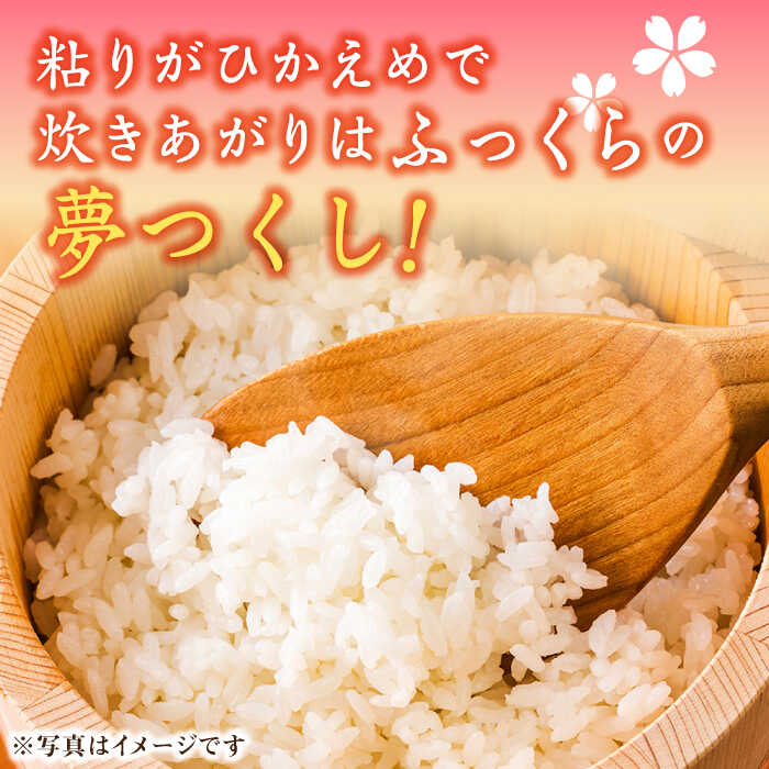 【ふるさと納税】【令和7年産】福岡県産ブランド米「夢つくし」無洗米 5kg《築上町》【株式会社ゼロプラス】 米 こめ コメ お米 ご飯 白ご飯 無洗米 ブランド米 おにぎり 弁当 もちもち 精米 食品 九州産 [ABDD008] 23000 23000円 - 画像2