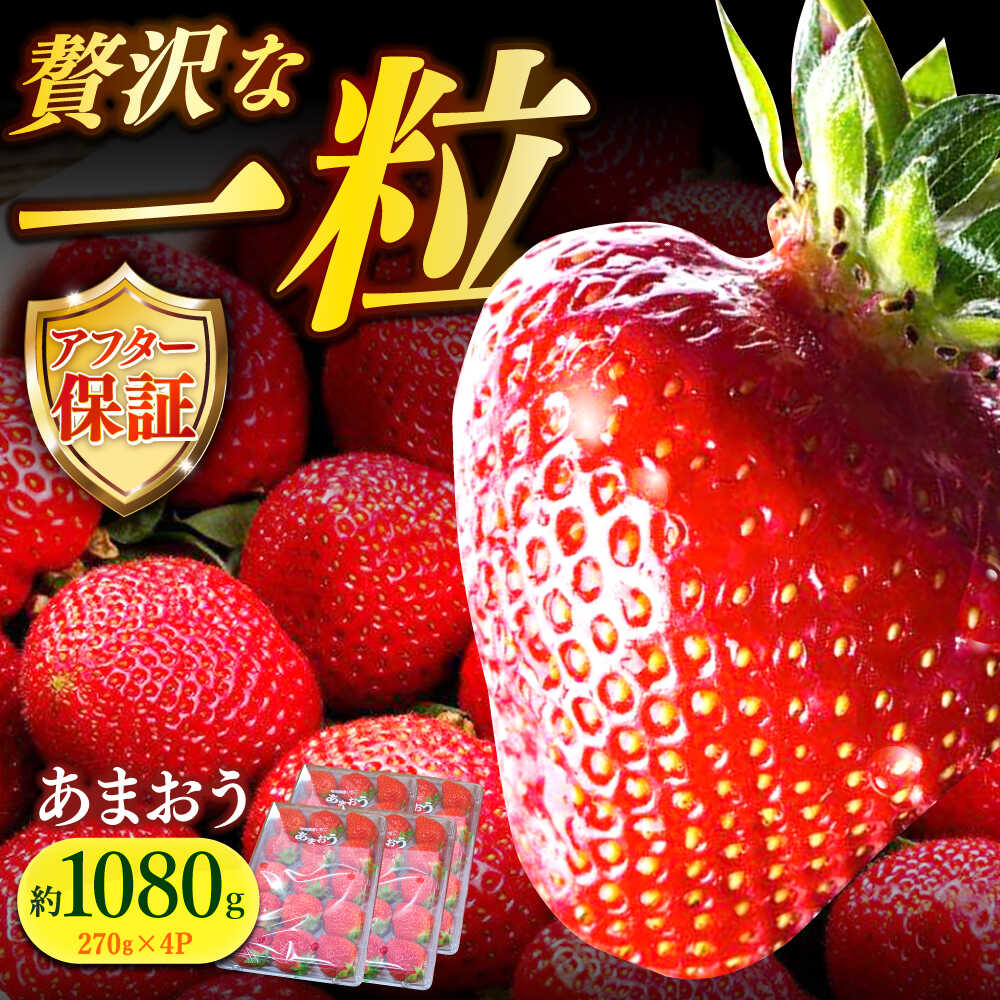 【予約受付】【1月上旬より順次発送】農家直送 朝採り新鮮いちご【博多あまおう】約270g×4パック《築上町》【株式会社H&Futures】 [ABDG002] 15000円