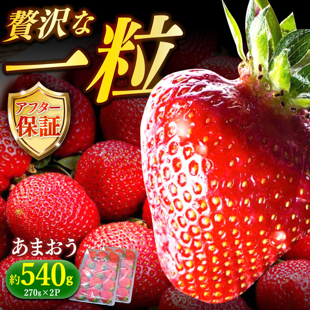 【予約受付】【2月1日より順次発送】 いちご あまおう 約270g×2 農家直送 朝採り 新鮮いちご 博多あまおう 《築上町》【株式会社H&Futures】 [ABDG003] 9000円