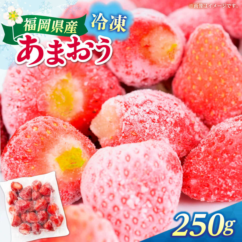 福岡県産 冷凍あまおう 250g（250g×1個）≪築上町≫【株式会社木村食品】[ABEB024] いちご イチゴ 苺 果物 フルーツ[ABEB024]