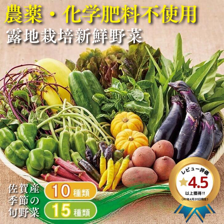 佐賀産季節の旬野菜 選べる10or15種類（農薬・化学肥料不使用）：B120-036