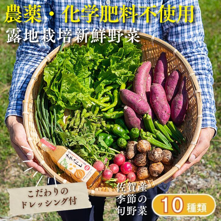 佐賀産季節の旬野菜10種類とドレッシング：B150-030