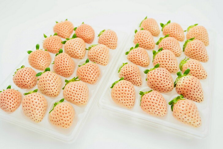 【定期便6回】佐賀県産 3種いちご【1月～6月発送】：B775-001