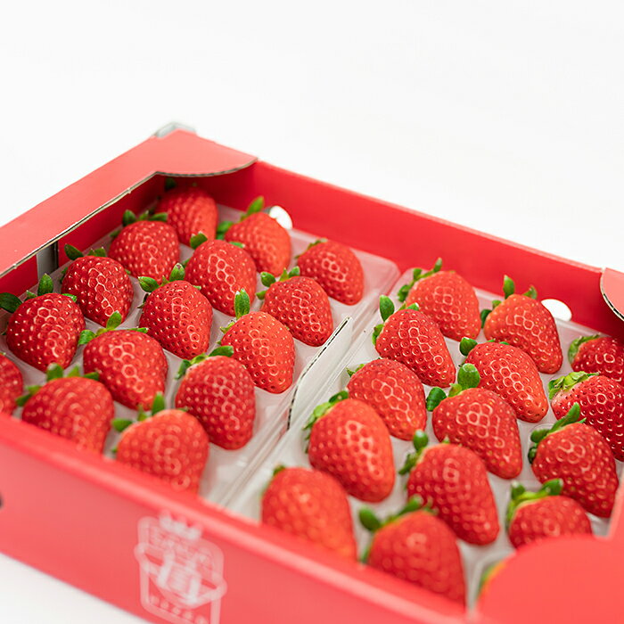 【ふるさと納税】【定期便3回】佐賀県産 いちごとれんこん【2～4月発送】：B420-002 サムネイル2