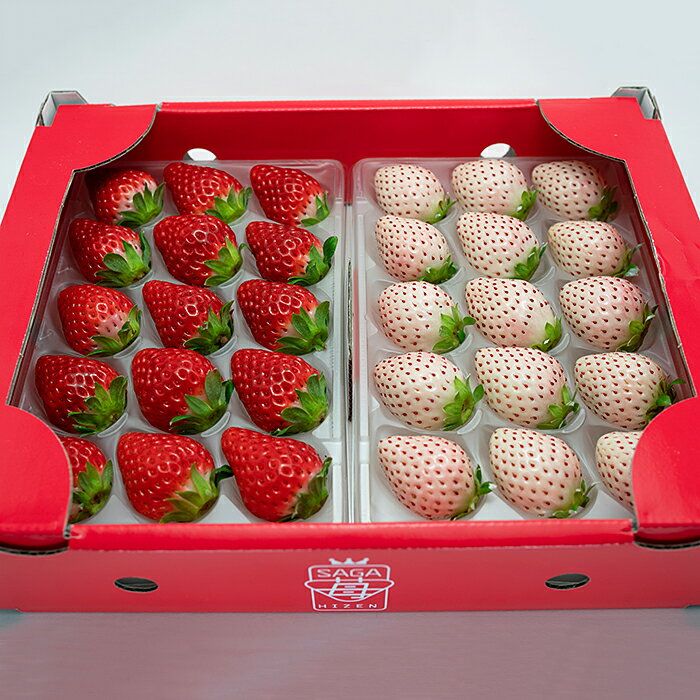 【ふるさと納税】【定期便3回】佐賀県産 れんこんといちご【12～2月発送】：B445-006 サムネイル2