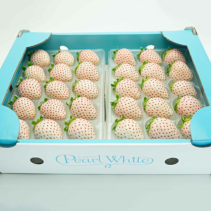 【ふるさと納税】【定期便3回】佐賀県産 3種いちご食べ比べ【2～4月発送】：B395-006 サムネイル2