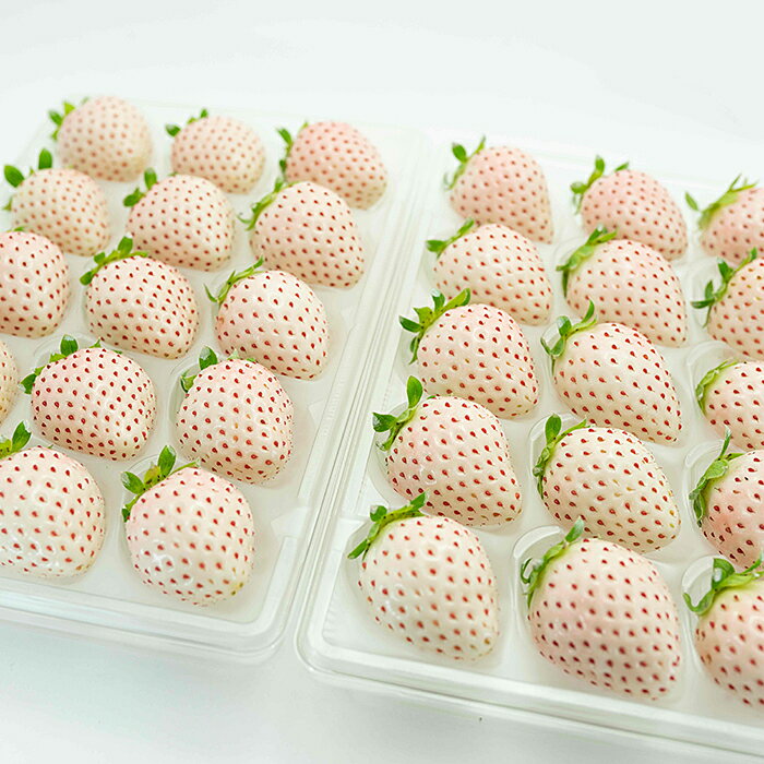 【ふるさと納税】【定期便3回】佐賀県産 3種いちご食べ比べ【2～4月発送】：B395-006 サムネイル3