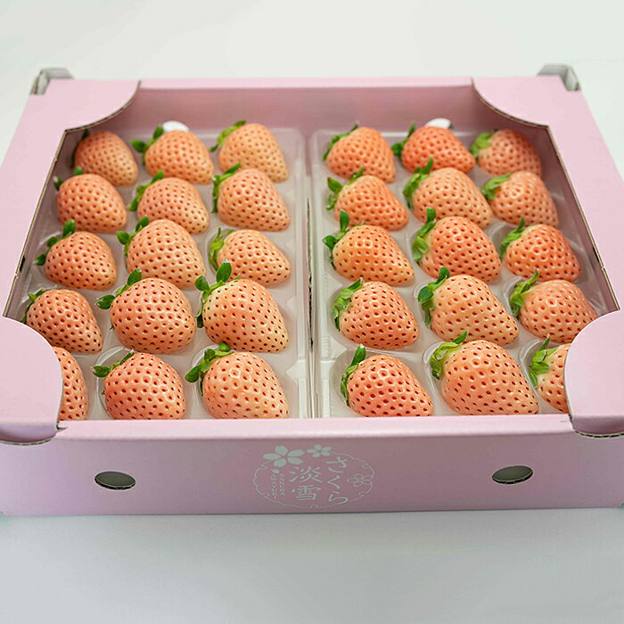 【定期便5回】佐賀県産 淡雪【1月～5月】：B650-002