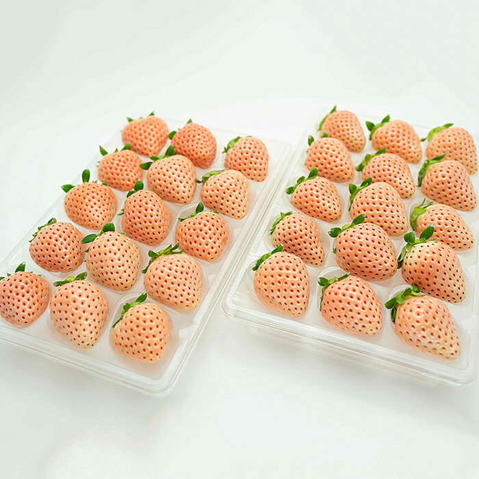 【定期便3回】佐賀県産 3種いちご食べ比べ【2～4月発送】：B395-006