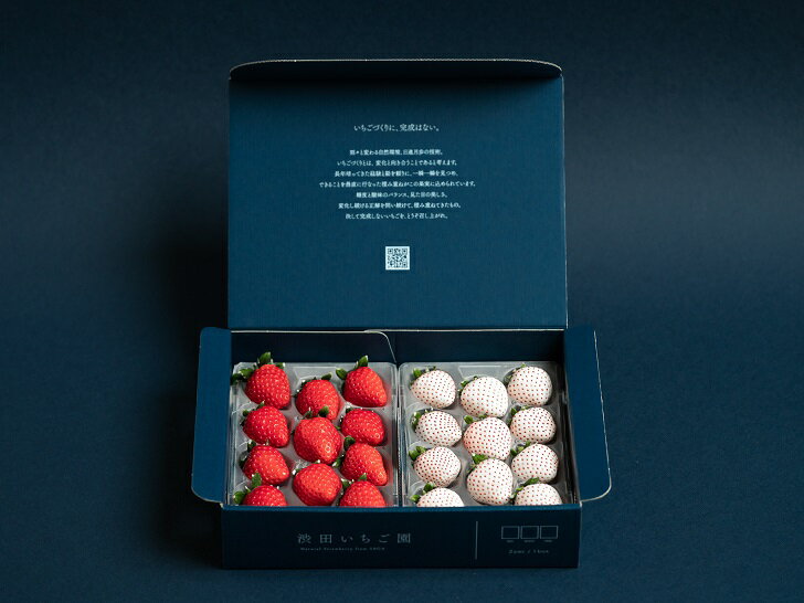 佐賀県産いちご 赤いちごと白いちご 食べ比べセット：B140-067