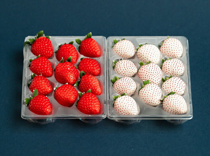 【ふるさと納税】佐賀県産いちご さがほのか＆パールホワイト 紅白セット：B140-008 サムネイル3