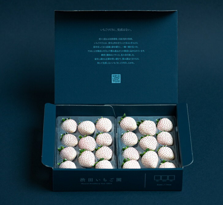 佐賀県産いちご パールホワイト：B190-025