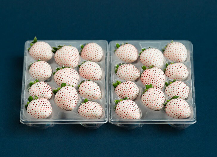 【ふるさと納税】佐賀県産いちご パールホワイト：B190-025 サムネイル3