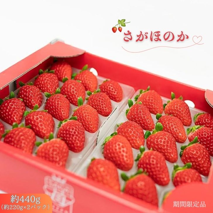 【先行予約】 佐賀県産 いちご さがほのか フルーツ 果物 旬 苺 イチゴ 220g×2P 九州 佐賀県 佐賀市 清瀬農園：B100-035