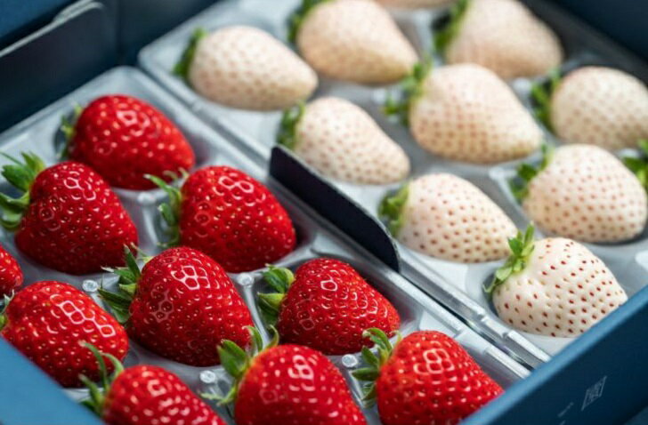 【ふるさと納税】佐賀県産いちご いちごさん&パールホワイト 紅白セット：B140-083 サムネイル2