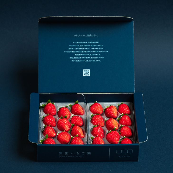 【ふるさと納税】佐賀県産いちご さがほのか&いちごさんセット：B100-039 サムネイル2