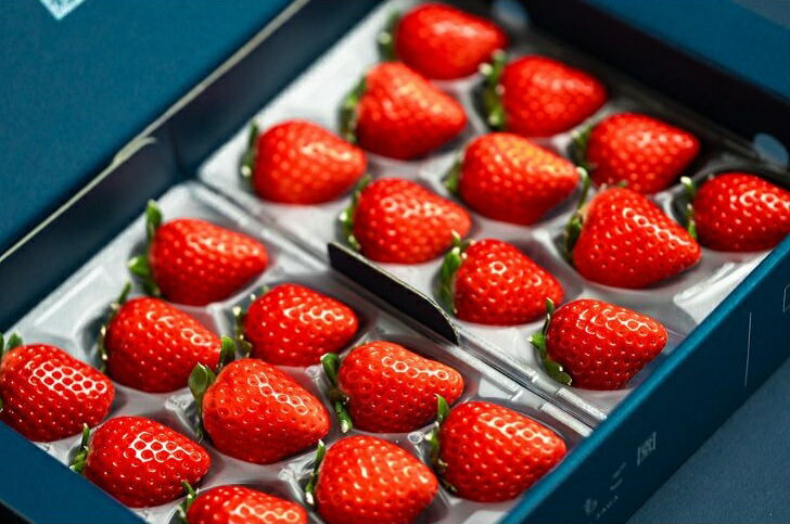 【ふるさと納税】【定期便3回】赤いちご食べ比べ（1月〜3月発送）：B275-005 サムネイル2