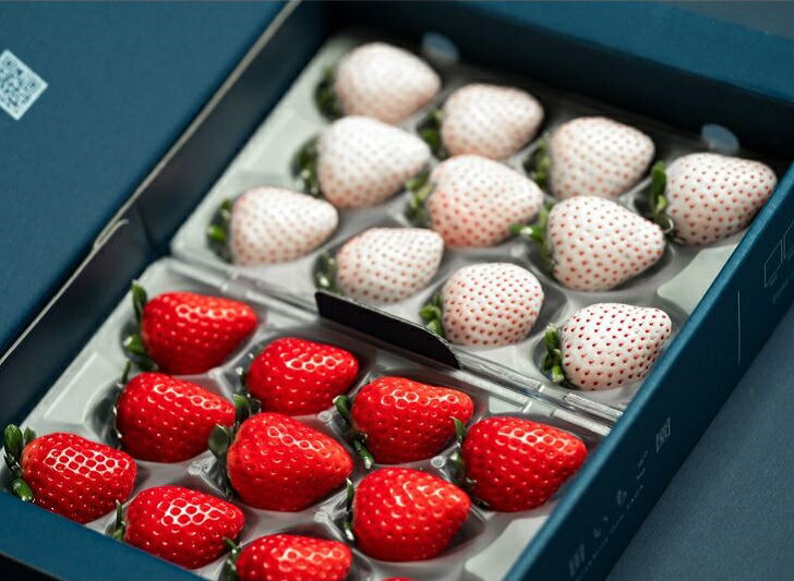 【ふるさと納税】佐賀県産いちご やよいひめ&パールホワイト 紅白セット：B140-082 サムネイル2