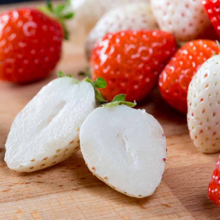 【ふるさと納税】【定期便3回】赤いちご白いちご食べ比べ（1月〜3月発送）：B395-012 サムネイル3