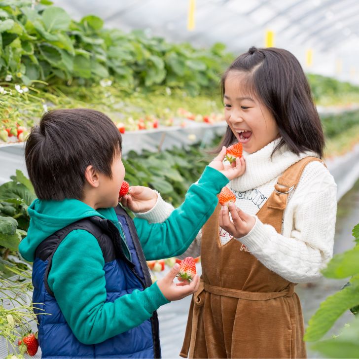 【ふるさと納税】佐賀県産いちご やよいひめ&パールホワイト 紅白セット：B140-082 サムネイル3
