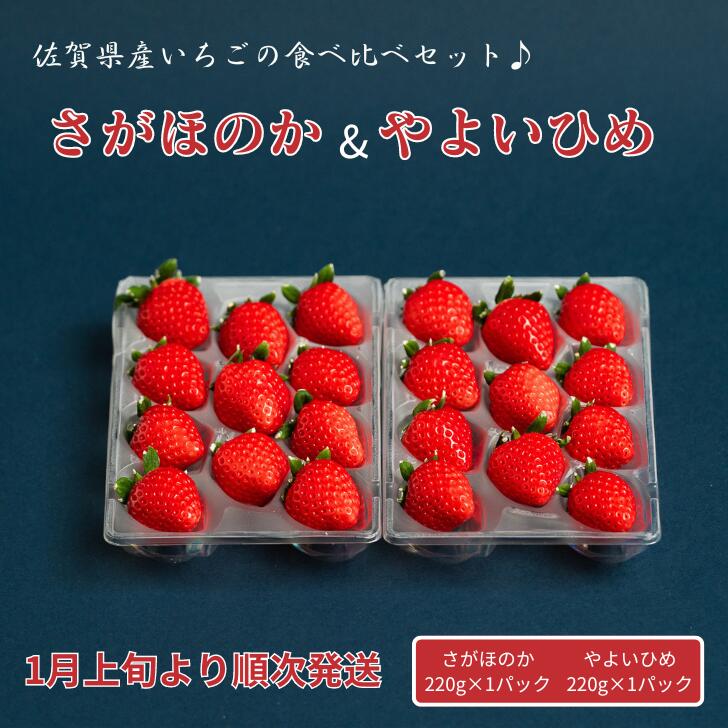 佐賀県産いちご さがほのか&やよいひめセット：B100-040